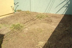A garden from the Landscape Design in Hollywood portfolio page